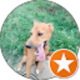 Review From Ansi Cahyaningrum