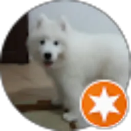 Review From Balder Savitskaya