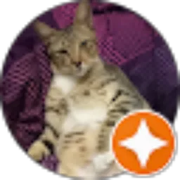 Review From Linda Budyani Suteja