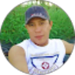 Review From N. Nainggolan Parhusip