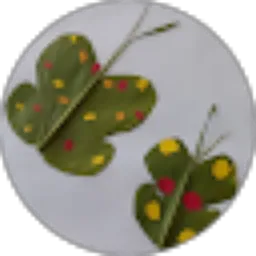 Review From iin marliana