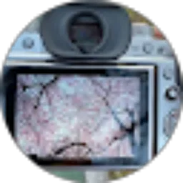 Review From Felicia Gabriella