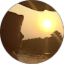 Review From Shafa Diaz