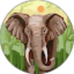 Review From Alfi Awaludin