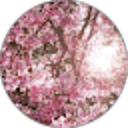 Review From Rahmayanti Azizah