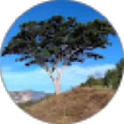 Review From Reski Sakinah