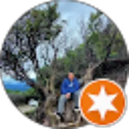 Review From Adi Priyo