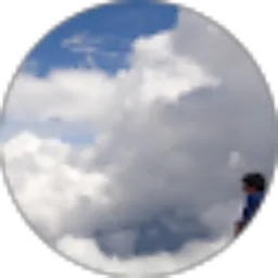 Review From Tony Suhartono