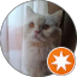 Review From felix felicis