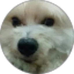 Review From david sinaga