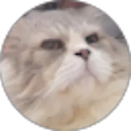 Review From Yanisa Putri