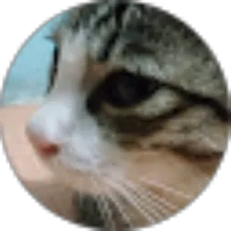 Review From Rita Muhita