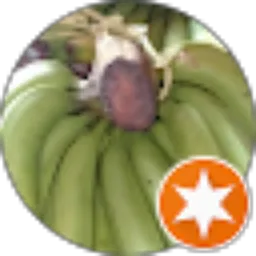 Review From rudi hilman