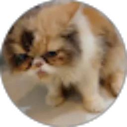 Review From Raifa Azizia Mustaqima