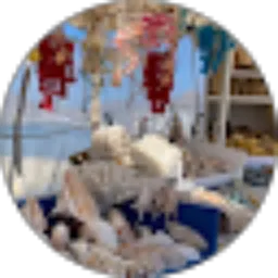 Review From Jesslyn Sung