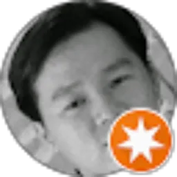 Review From Dominikus Liem