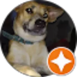 Review From pacE Toska