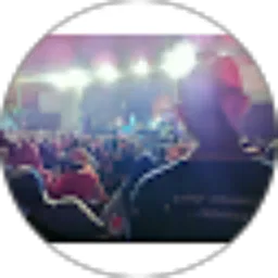 Review From Roi Hartono