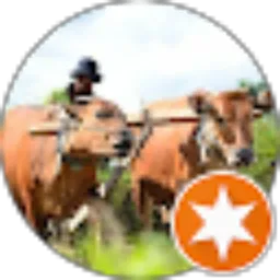 Review From Oka Ariadi