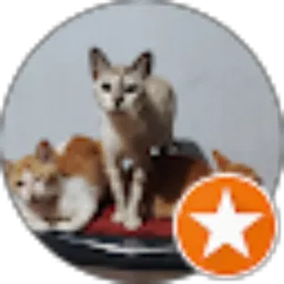 Review From Sugiharto “Meong”