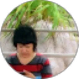 Review From Musrini Law