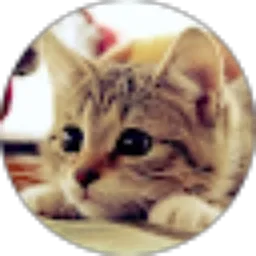 Review From Devi Puspasari