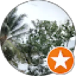 Review From MR Andriawan