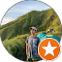 Review From Ignasius Julius Tholense