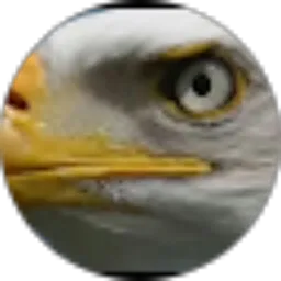 Review From Robi Rangga