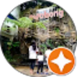 Review From David Sasongko