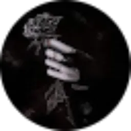 Review From Luna Moy