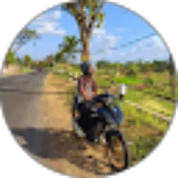 Review From Ryan Dika