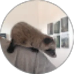 Review From Asril Sulton