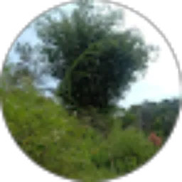 Review From Sahri Ramadhan