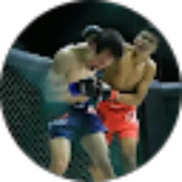 Review From Edo Hardi