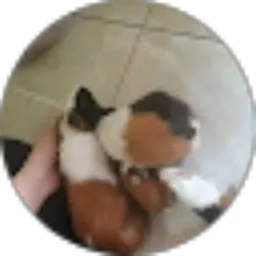 Review From Ali Pamungkas