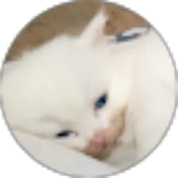 Review From DAFI SULISTYAWATI PRIYATNITA