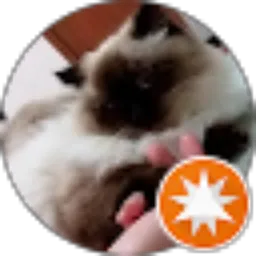 Review From Nissa Nia