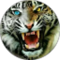 Review From Padudan 28