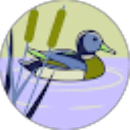 Review From Tasya Nur anisya