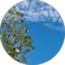 Review From Amanda cahya Yudi sanjaya