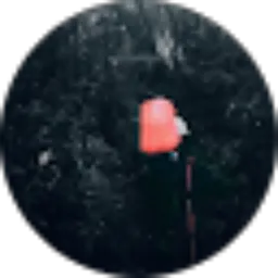 Review From Ahmad Rizal