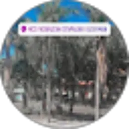 Review From Syifa Haya