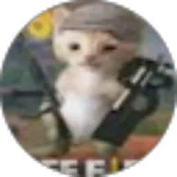 Review From Kiko Ijo