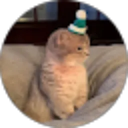 Review From Rudi Ynaa