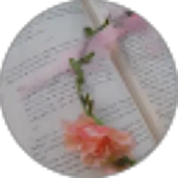 Review From Sinta M. Kusumawardhani