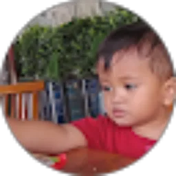 Review From Dwi Pranata