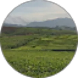 Review From Juni Apson Simanjuntak