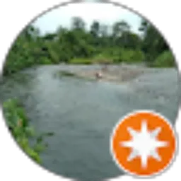 Review From Mr. Orehandinay