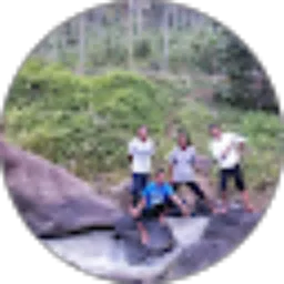 Review From sendi rahmat firdaus